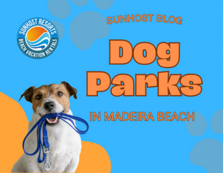 Dog Parks in Madeira Beach